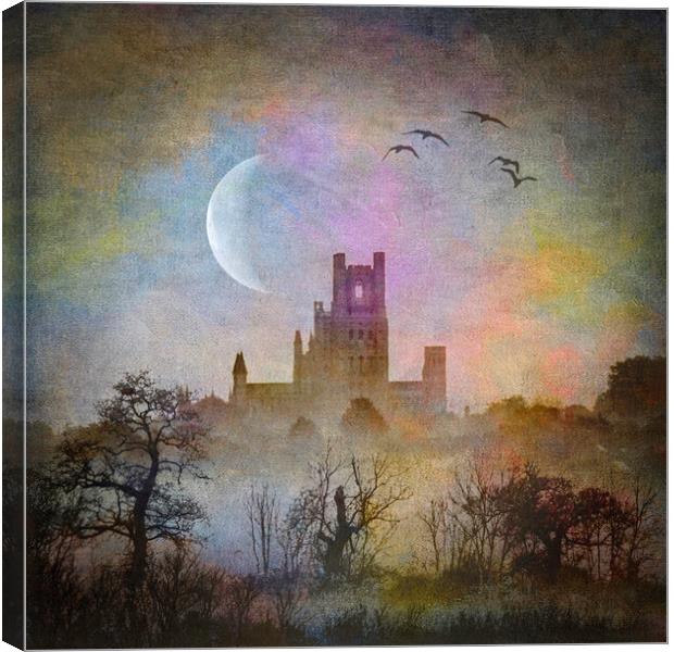 Ely Cathedral Canvas Print by Andrew Sharpe