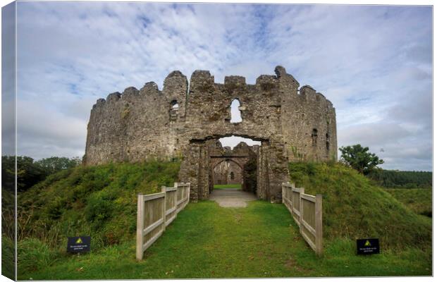 Restormel Castle, Cornwall Canvas Print by Andrew Sharpe