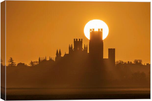 Sunrise behind Ely Cathedral, 30th January 2020 Canvas Print by Andrew Sharpe