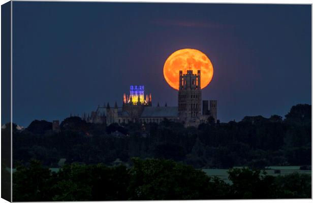 Strawberry Moon rising behind Ely Cathedral, 14th June 2022 Canvas Print by Andrew Sharpe
