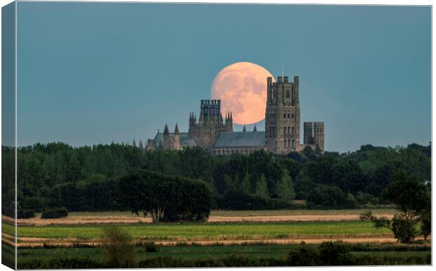 Moon rise behind Ely Cathedral, 10th August 2022 Canvas Print by Andrew Sharpe