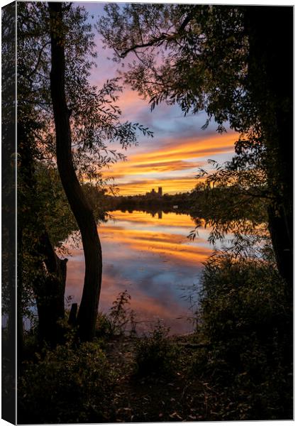 Sunset over Ely, Cambridgeshire, as seen from Roswell Pits, 17th Canvas Print by Andrew Sharpe