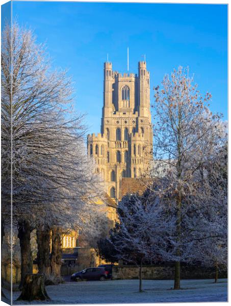 Frosty, misty morning in Ely, Cambridgeshire, 22nd January 2023 Canvas Print by Andrew Sharpe