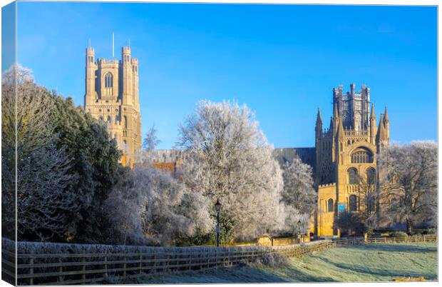 Frosty, misty morning in Ely, Cambridgeshire, 22nd January 2023 Canvas Print by Andrew Sharpe