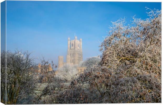 Frosty, misty morning in Ely, Cambridgeshire, 22nd January 2023 Canvas Print by Andrew Sharpe