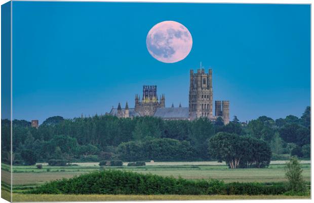 Moonrise behind Ely Cathedral, 3rd June 2023 Canvas Print by Andrew Sharpe