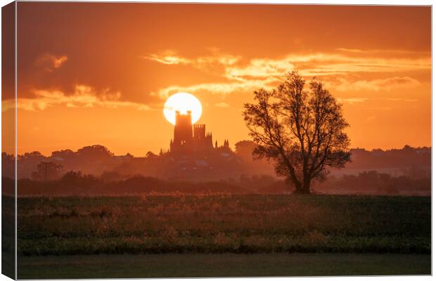 Sunrise behind Ely Cathedral, 23rd September 2023 Canvas Print by Andrew Sharpe