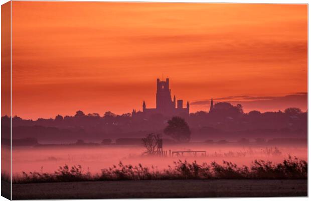 Pre-dawn over Ely, as seen from Coveney, 23rd October 2023 Canvas Print by Andrew Sharpe