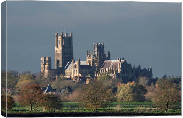 Afternoon autumnal light on Ely Cathedral, 23rd November 2023 Canvas Print by Andrew Sharpe