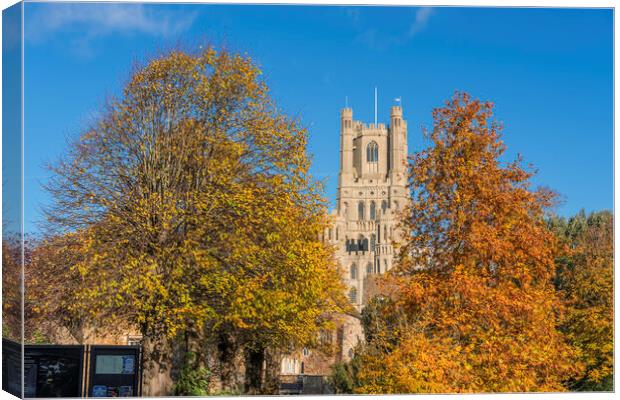 Sunny autumnal day in Ely, Cambridgeshire, 23rd November 2023 Canvas Print by Andrew Sharpe