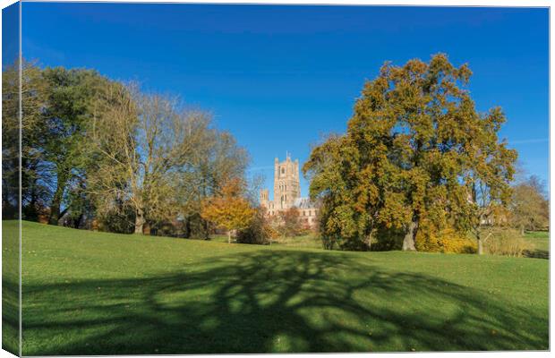 Sunny autumnal day in Ely, Cambridgeshire, 23rd November 2023 Canvas Print by Andrew Sharpe
