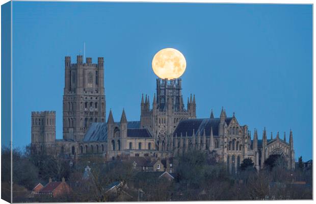 Moonset behind Ely Cathedral, 26th December 2023 Canvas Print by Andrew Sharpe