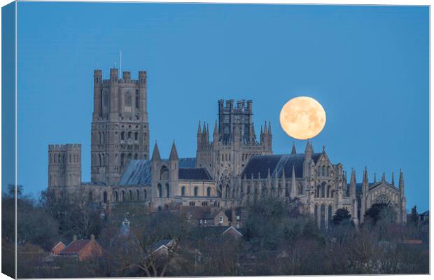 Moonset behind Ely Cathedral, 26th December 2023 Canvas Print by Andrew Sharpe