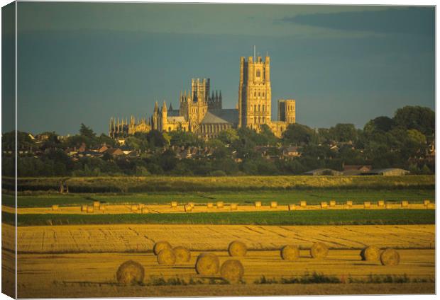 Glowing Ely Cathedral at Harvest Time Canvas Print by Andrew Sharpe