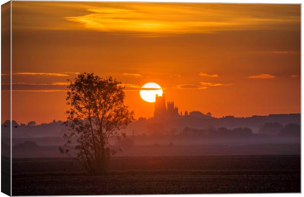 Dawn over Ely Canvas Print by Andrew Sharpe