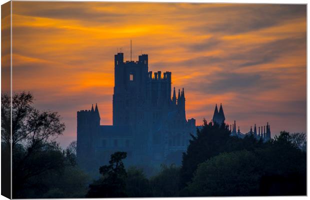 Ely Cathedral, at sunset Canvas Print by Andrew Sharpe