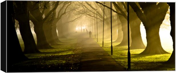 Jesus Green, Cambridge Canvas Print by Andrew Sharpe