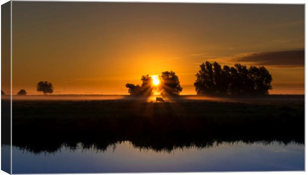 Dawn over the fens, Ely, Cambridgeshire Canvas Print by Andrew Sharpe