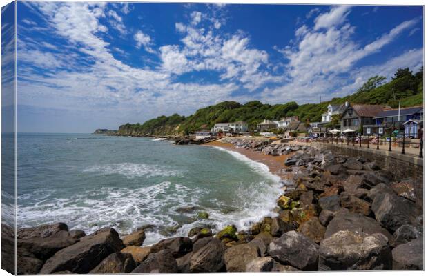 Steephill Cove, Isle of Wight Canvas Print by Andrew Sharpe