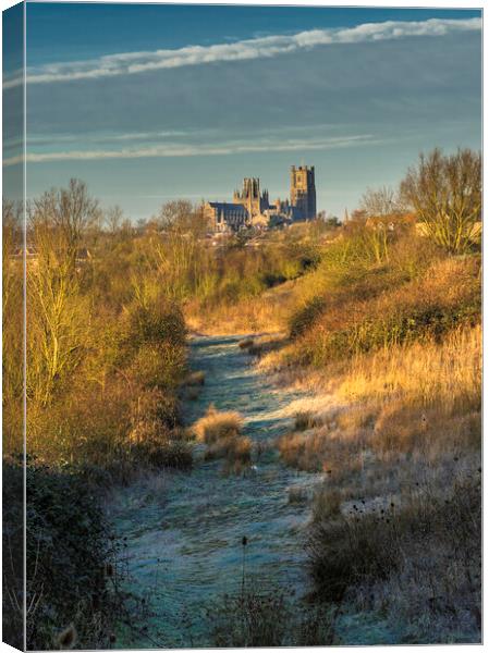 Ely Cathedral from Roswell Lakes, Cambridgeshrie Canvas Print by Andrew Sharpe