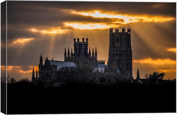 Ely Cathedral, from Roswell Pits, Cambridgeshire Canvas Print by Andrew Sharpe