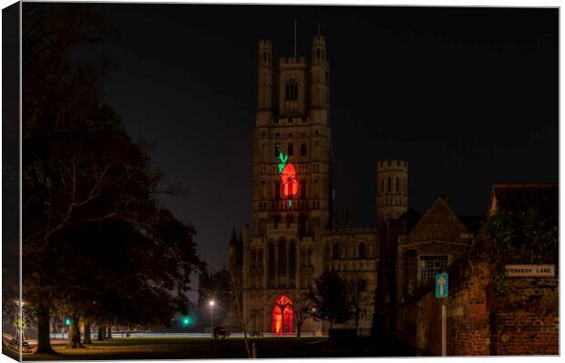 Giant Poppy projected onto Ely Cathedral for Remembrance Sunday, 8th November 2020 Canvas Print by Andrew Sharpe
