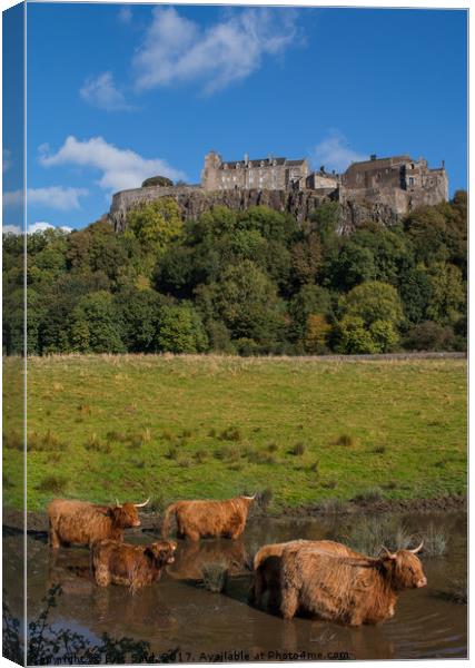 Coo's Under the Castle Canvas Print by Eric Said