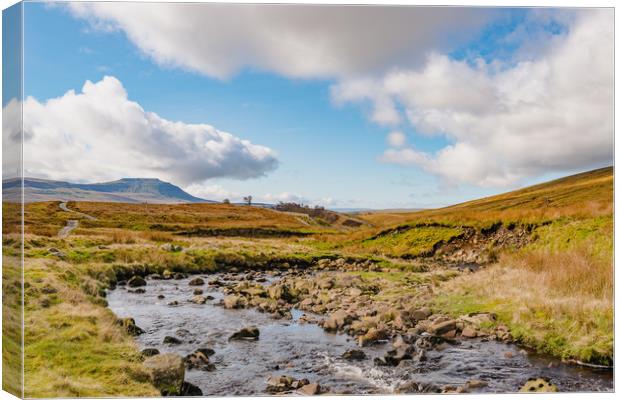 Ingleborough from Whernside Canvas Print by David Hill