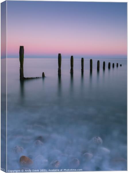 Ethereal old groyne Canvas Print by Andy Davis