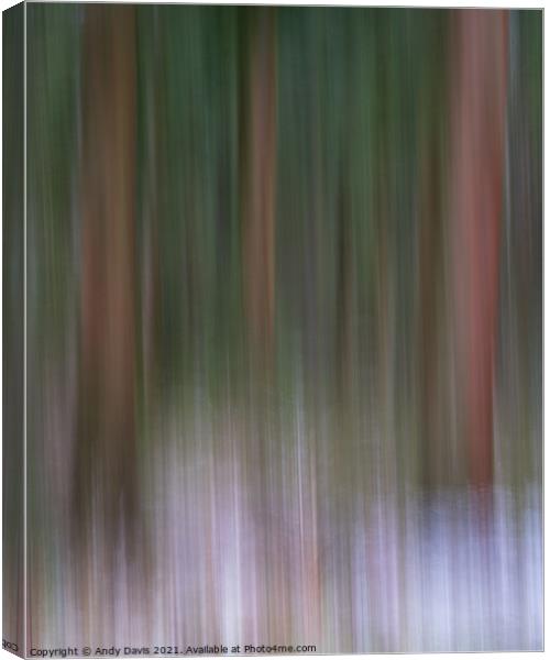 Forest movement Canvas Print by Andy Davis
