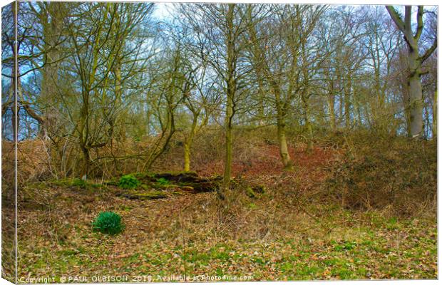 Hidden woodland Canvas Print by PAUL OLBISON