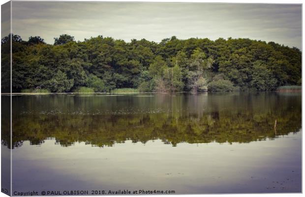 Reflections Canvas Print by PAUL OLBISON