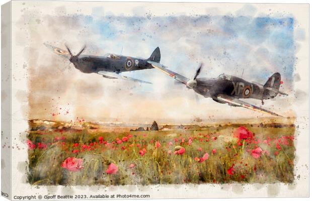 Flying over poppy field Canvas Print by Geoff Beattie