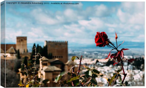 View on the Alhambra and the city of Granada in Andalusia, Spain Canvas Print by Alexandre Rotenberg