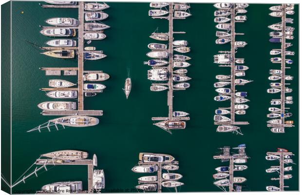 Top down leisure boats and yachts moored in marina i Canvas Print by Alexandre Rotenberg