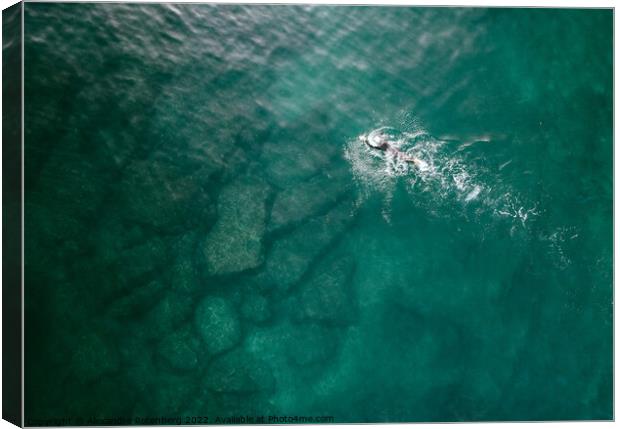 Top down aerial view of unidentifiable male open water swimming in turquoise water. Captured in Cascais, Portugal Canvas Print by Alexandre Rotenberg