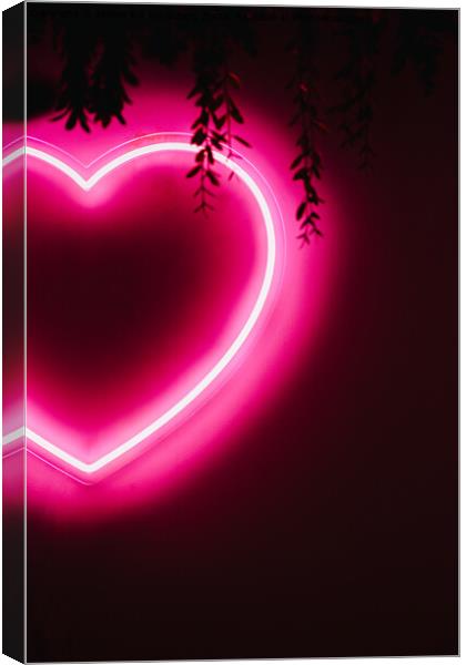 Neon pink heart on black wall Canvas Print by Alexandre Rotenberg