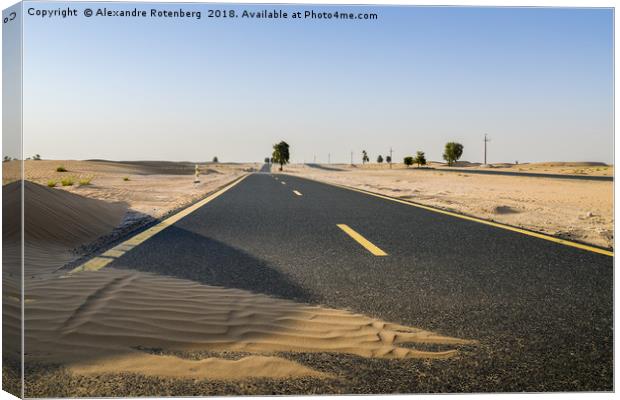 Al Qudra cycling track, UAE Canvas Print by Alexandre Rotenberg
