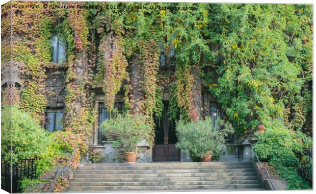 Building entrance covered in overgrown ivy Canvas Print by Alexandre Rotenberg