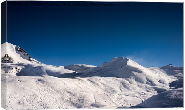 Ski resort panorama Canvas Print by Alexandre Rotenberg