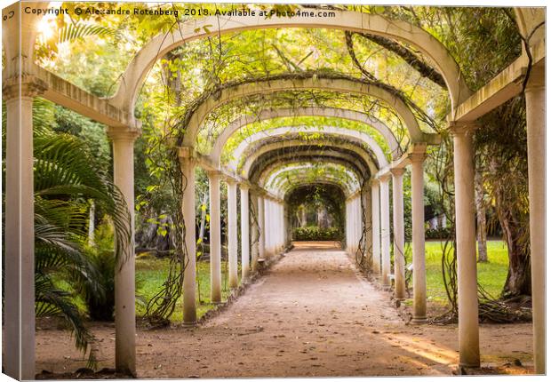 Tropical arches Canvas Print by Alexandre Rotenberg