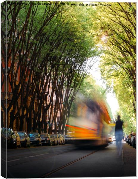 Moving tram on tree-lined path  Canvas Print by Alexandre Rotenberg