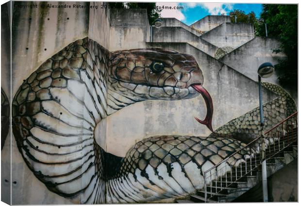 Snake or cobra street art Canvas Print by Alexandre Rotenberg