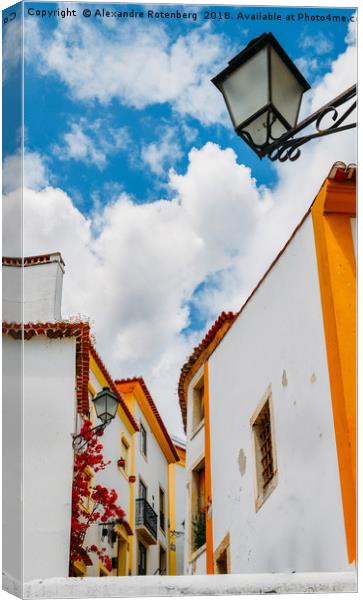 Traditional Portuguese Houses Canvas Print by Alexandre Rotenberg