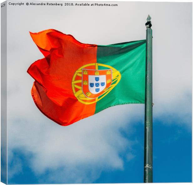 Portuguese Flag  Canvas Print by Alexandre Rotenberg