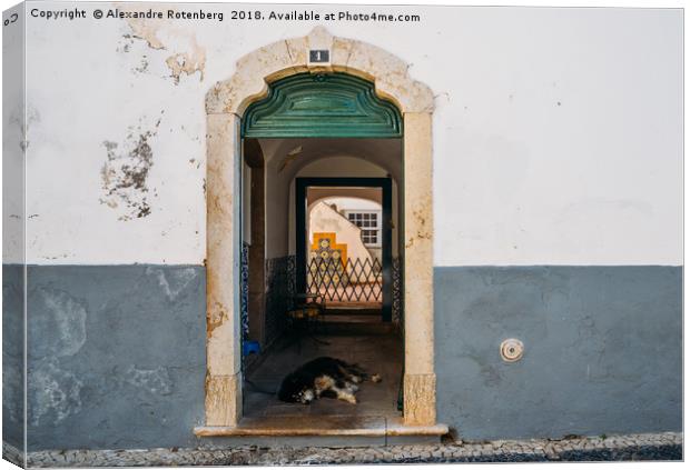 Lazy dog at rustic doorway in Faro, Portugal Canvas Print by Alexandre Rotenberg