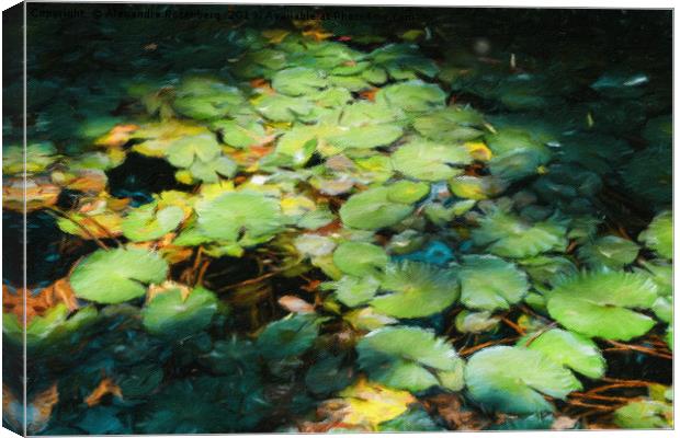 Water Lilies Monet Style Canvas Print by Alexandre Rotenberg