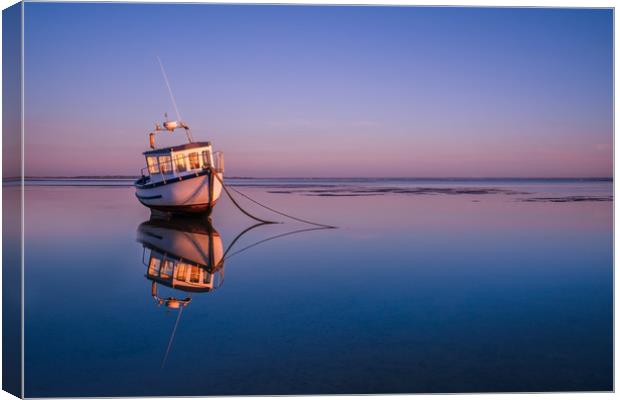 Calm after the Storm Canvas Print by Daniel Farrington