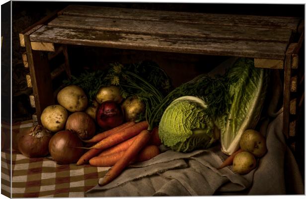 Allotment's Bounty Canvas Print by Kelly Bailey