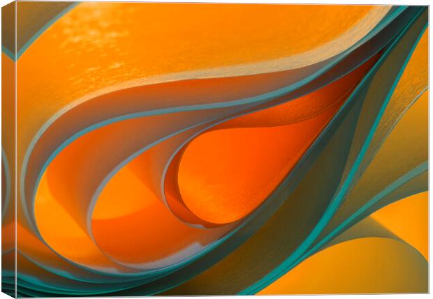 Light and Curves 4 Canvas Print by Kelly Bailey
